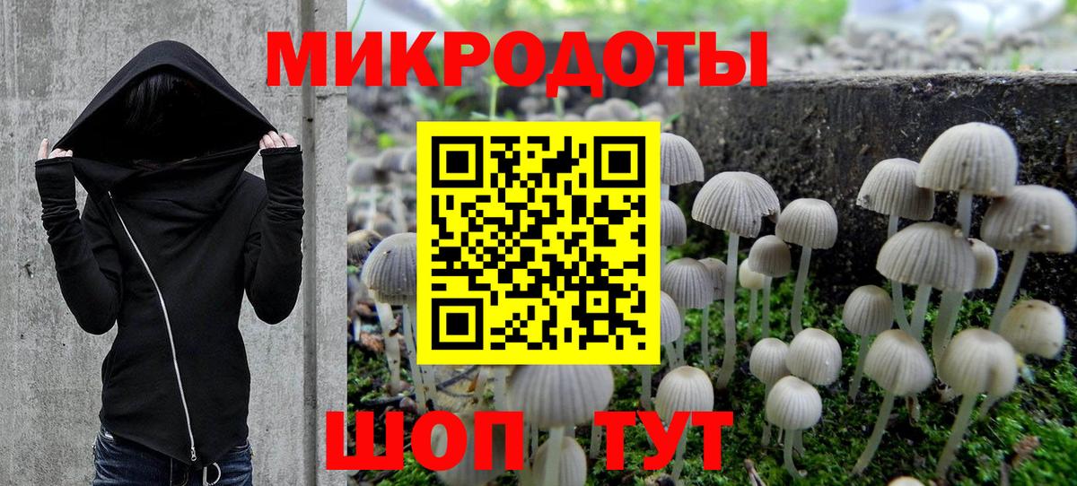 Псилоцибиновые грибы мухоморы  цена   Ногинск  Вход с VPN 